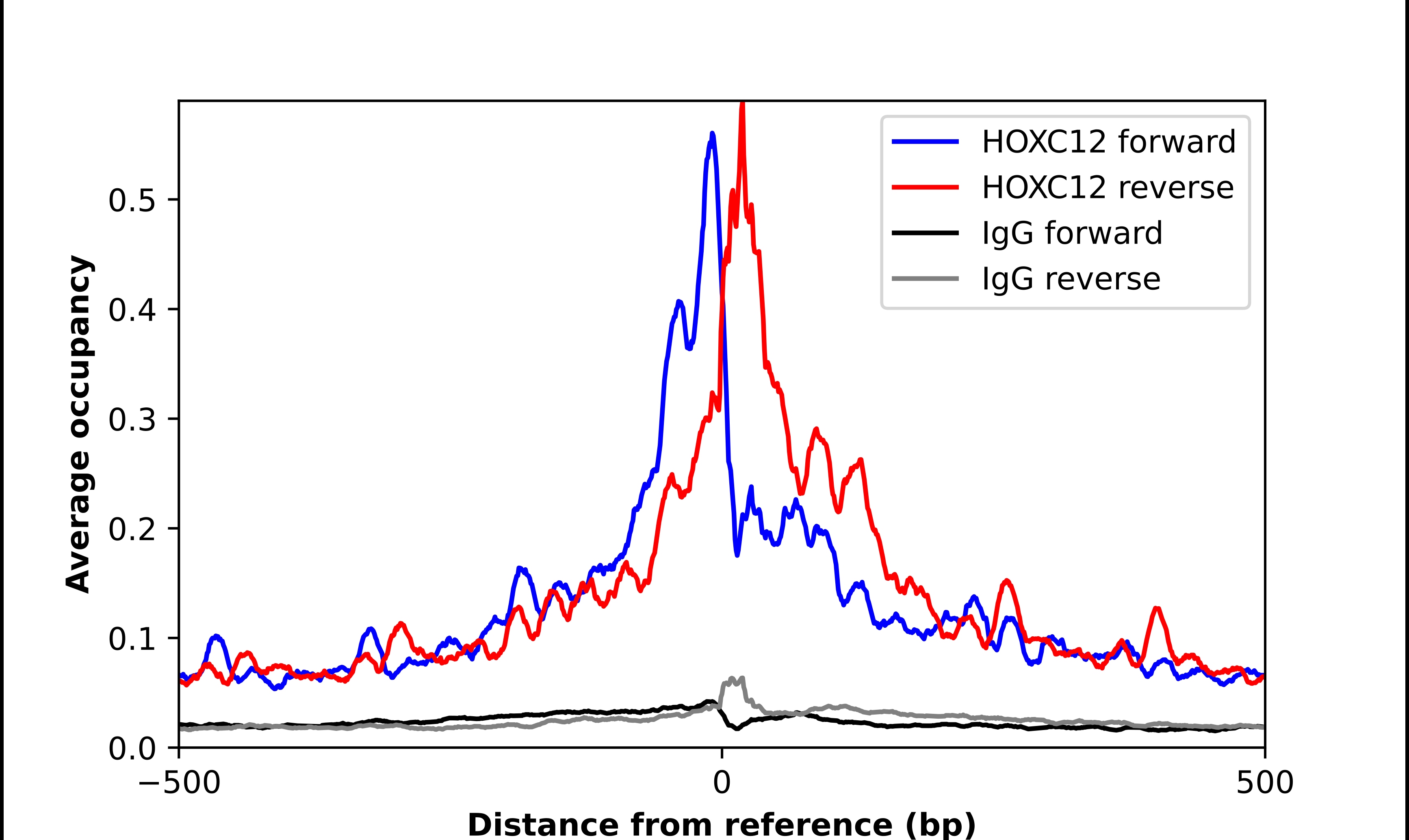 HOXC12 Antibody - BSA Free Chromatin Immunoprecipitation ChIP: HOXC12 Antibody - BSA Free