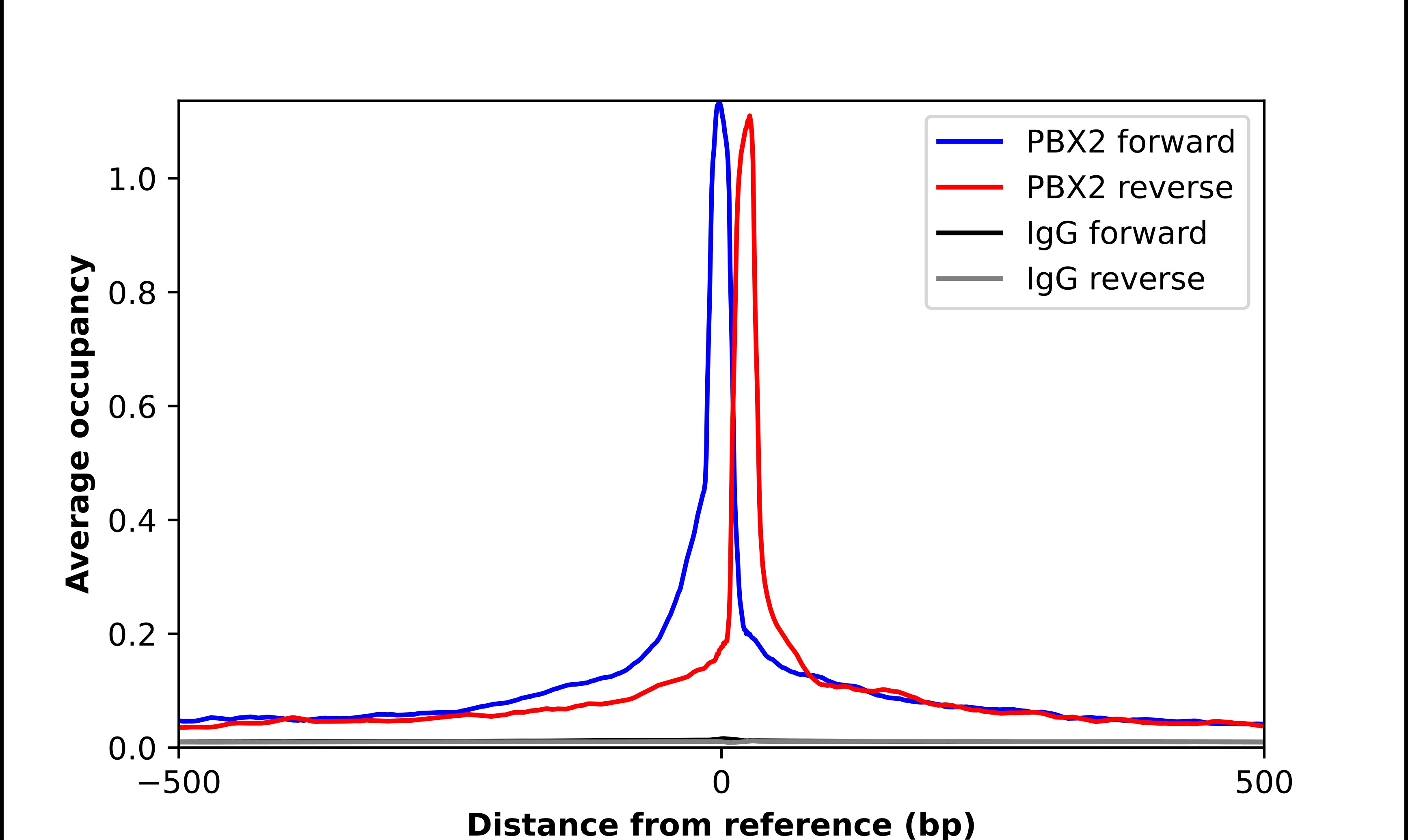 PBX2 Antibody - BSA Free Chromatin Immunoprecipitation ChIP: PBX2 Antibody - BSA Free