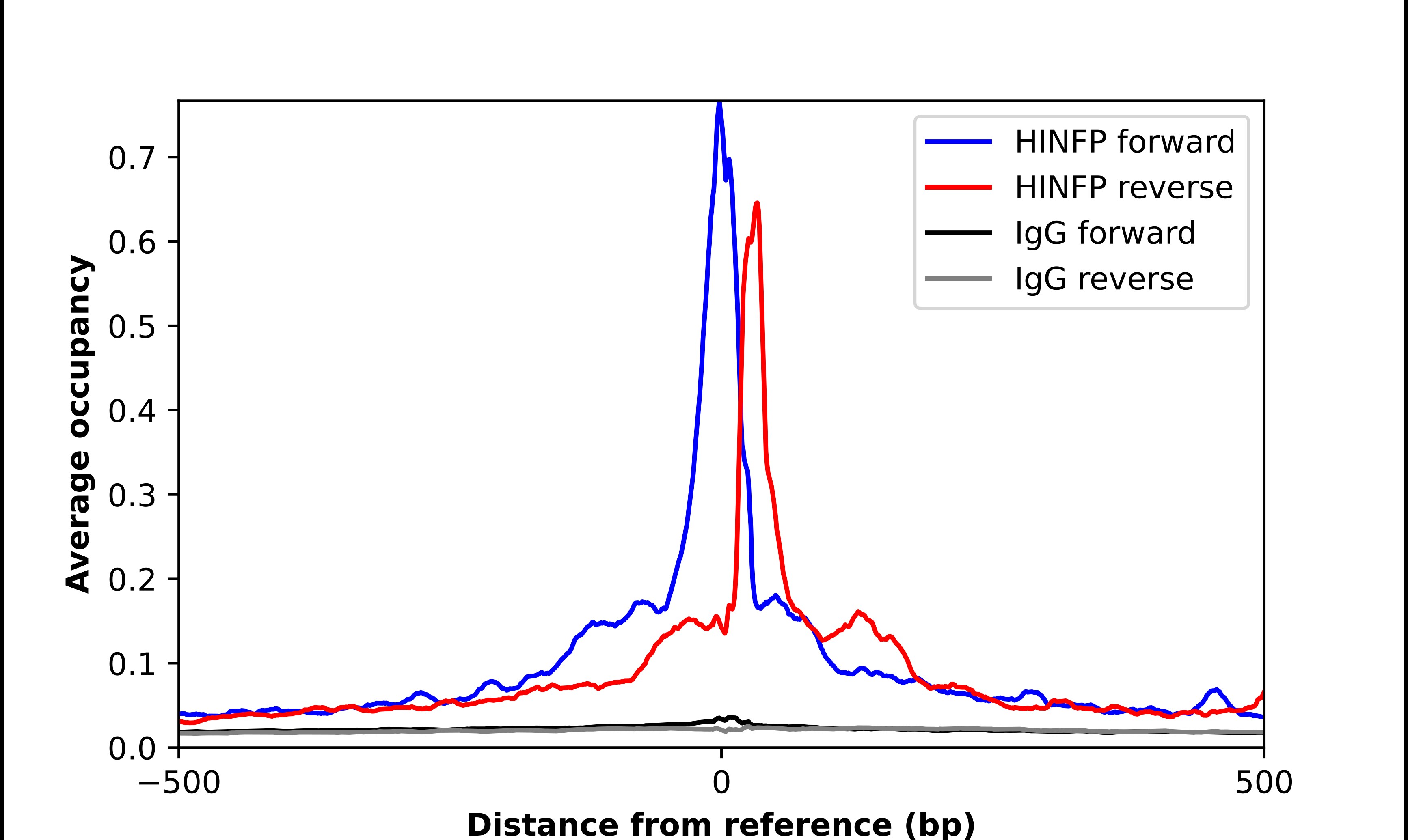 HINFP Antibody - BSA Free Chromatin Immunoprecipitation ChIP: HINFP Antibody - BSA Free