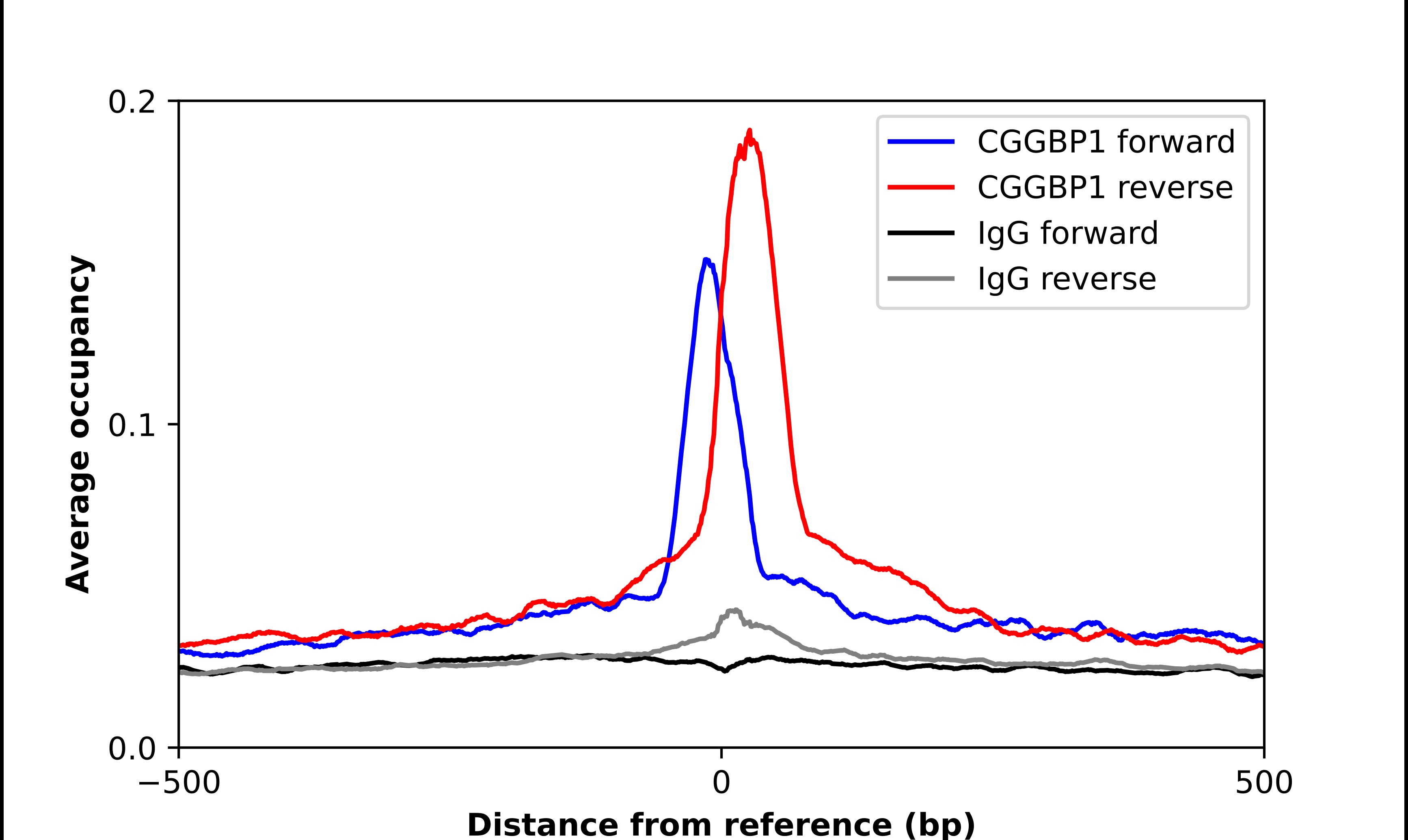 CGGBP1 Antibody - BSA Free Chromatin Immunoprecipitation ChIP: CGGBP1 Antibody - BSA Free