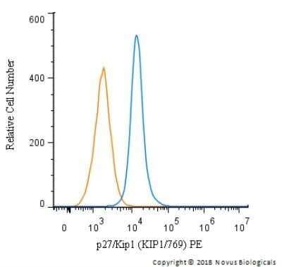 Nucleoli Marker Antibody (NM95)