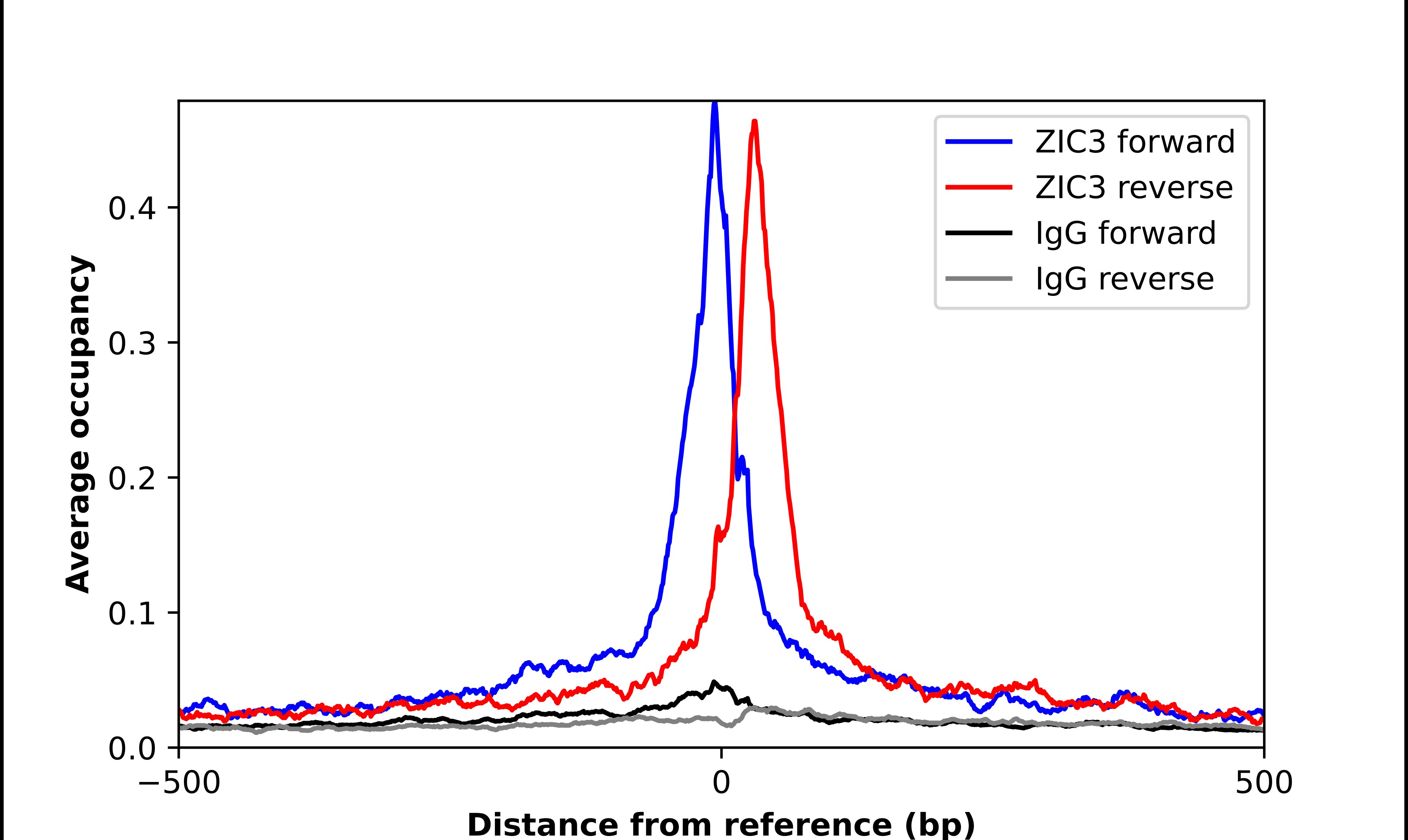 ZIC3 Antibody - BSA Free Chromatin Immunoprecipitation-exo-Seq: ZIC3 Antibody - BSA Free [NBP2-33669]