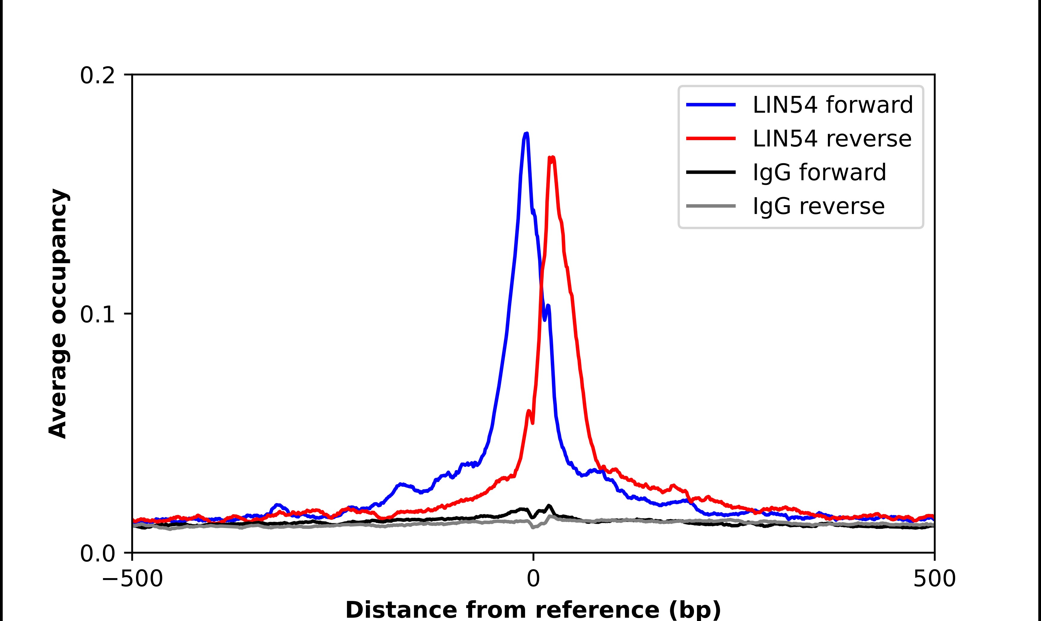 lin-54 Antibody - BSA Free Chromatin Immunoprecipitation ChIP: lin-54 Antibody - BSA Free