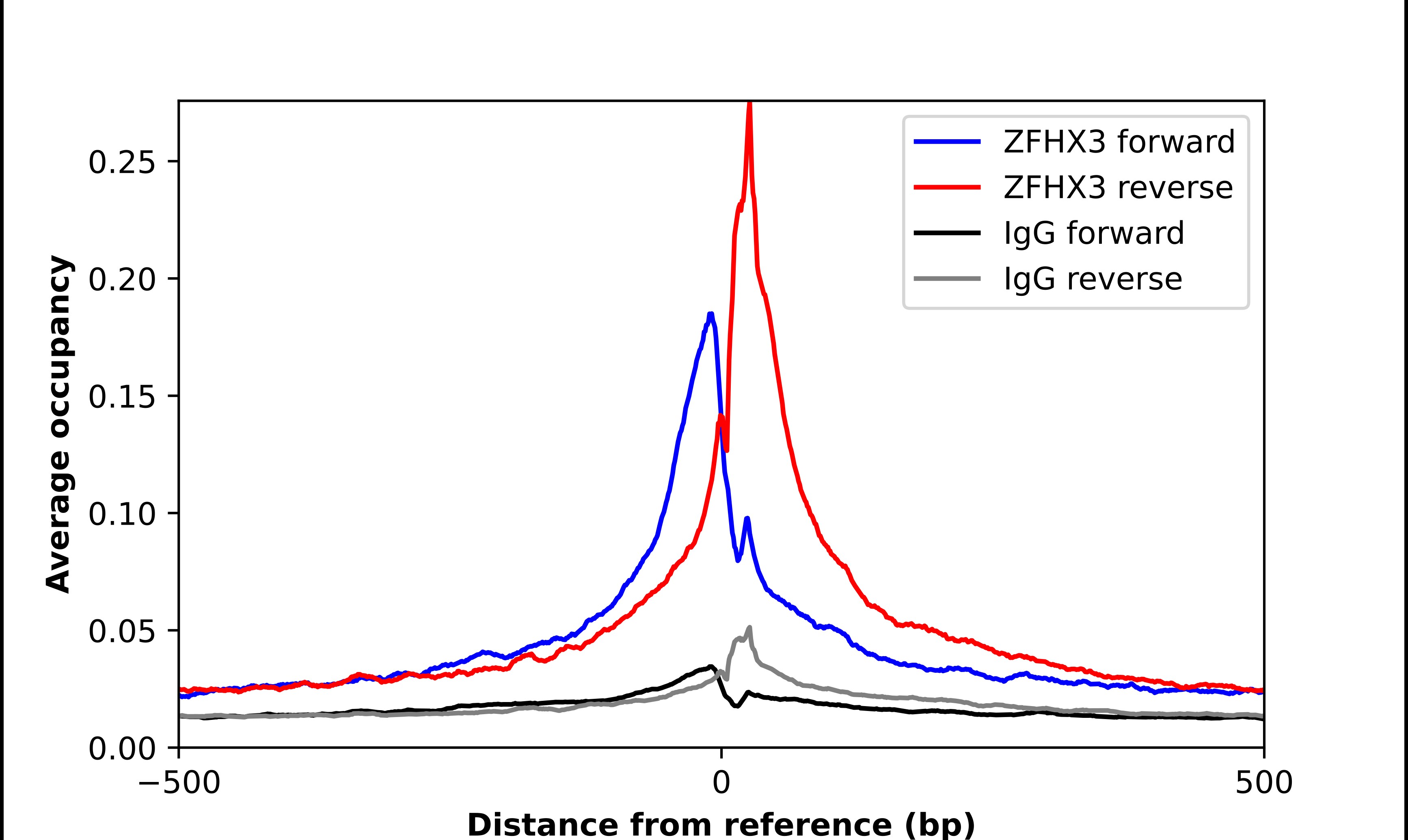 ATBF1/ZFHX3 Antibody - BSA Free Chromatin Immunoprecipitation-exo-Seq: ATBF1/ZFHX3 Antibody - BSA Free [NBP2-34126]