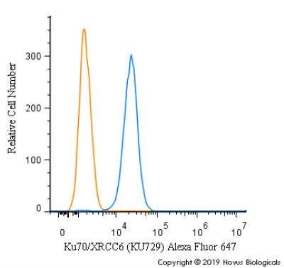 Ku70/XRCC6 Antibody (KU729)