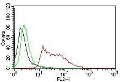 Nuclear Antigen Antibody (235-1)