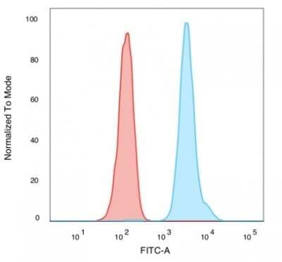 Nuclear Antigen Antibody (235-1)
