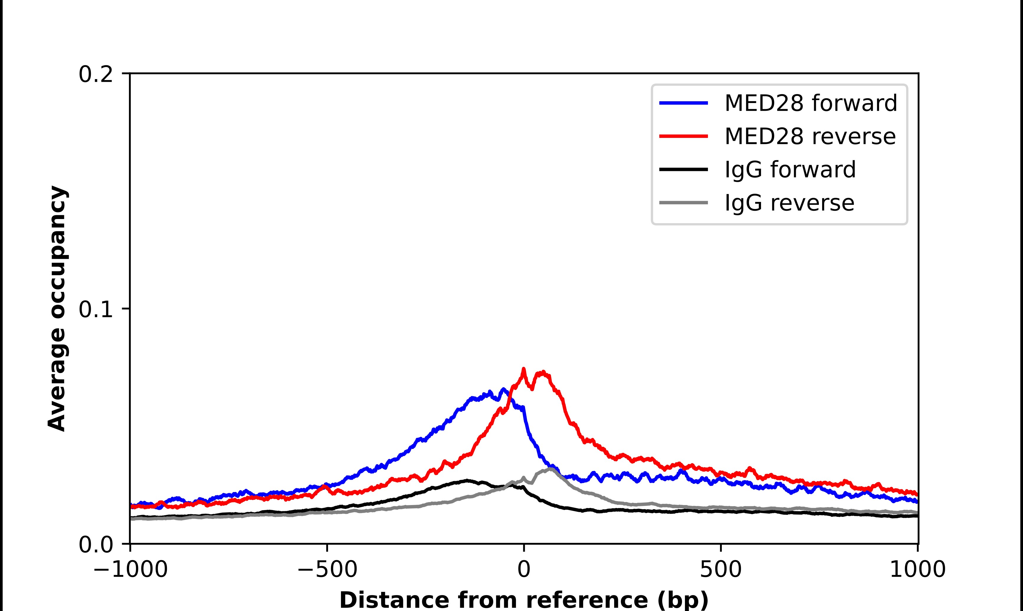 MED28 Antibody - BSA Free Chromatin Immunoprecipitation-exo-Seq: MED28 Antibody - BSA Free [NBP2-38271]