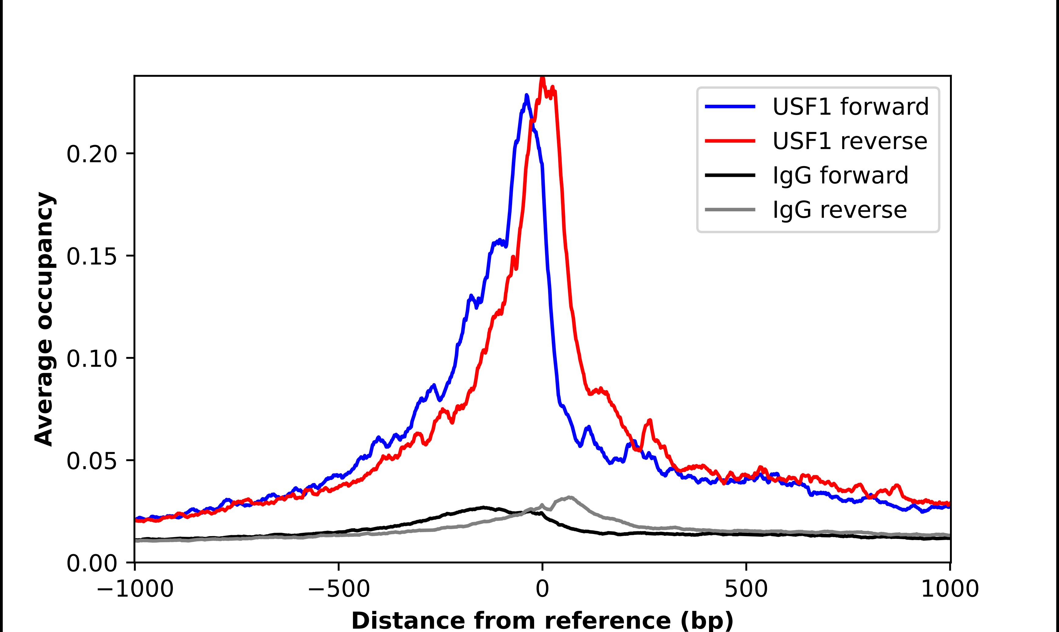 USF1 Antibody - BSA Free Chromatin Immunoprecipitation-exo-Seq: USF1 Antibody - BSA Free [NBP2-38290]