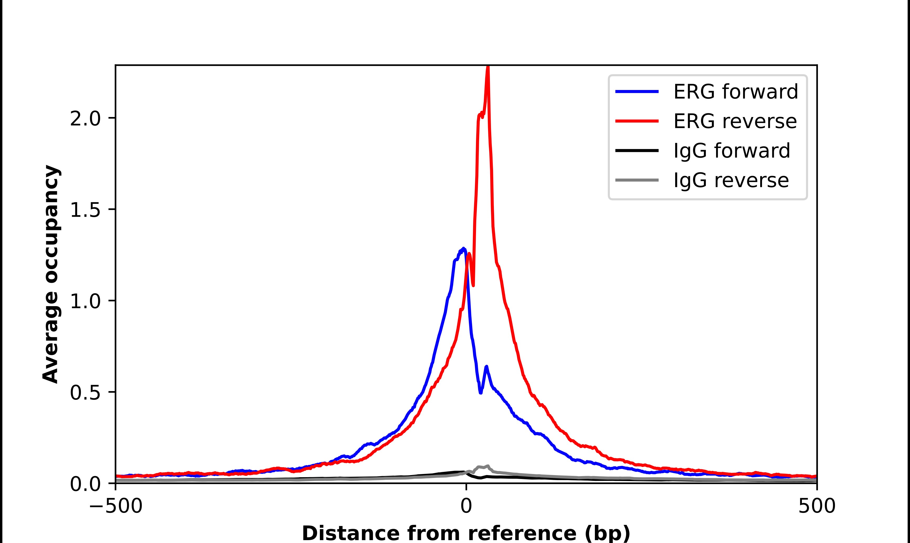ERG Antibody - BSA Free Chromatin Immunoprecipitation-exo-Seq: ERG Antibody - BSA Free [NBP2-38555]