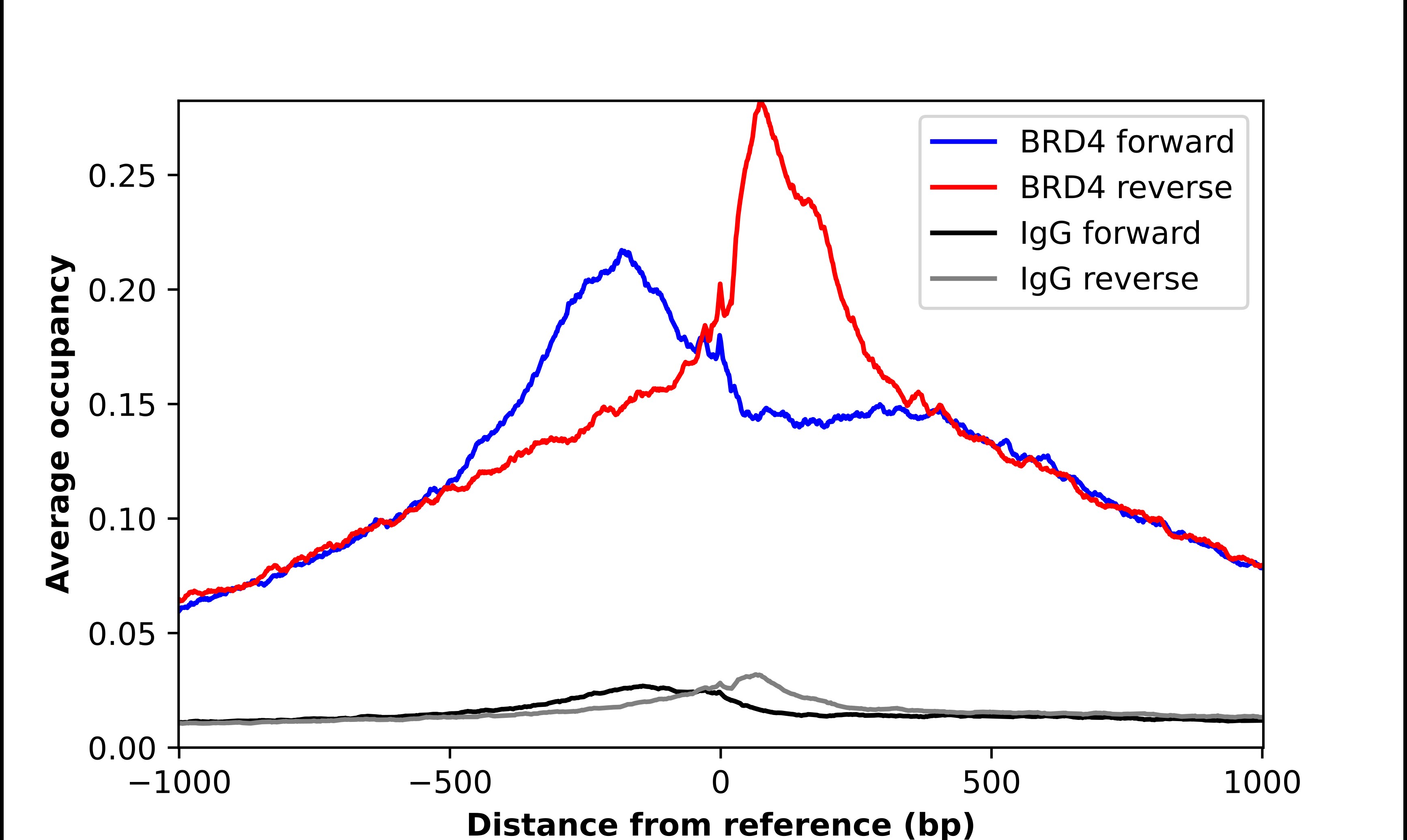 BRD4 Antibody - BSA Free Chromatin Immunoprecipitation-exo-Seq: BRD4 Antibody - BSA Free [NBP2-38931]