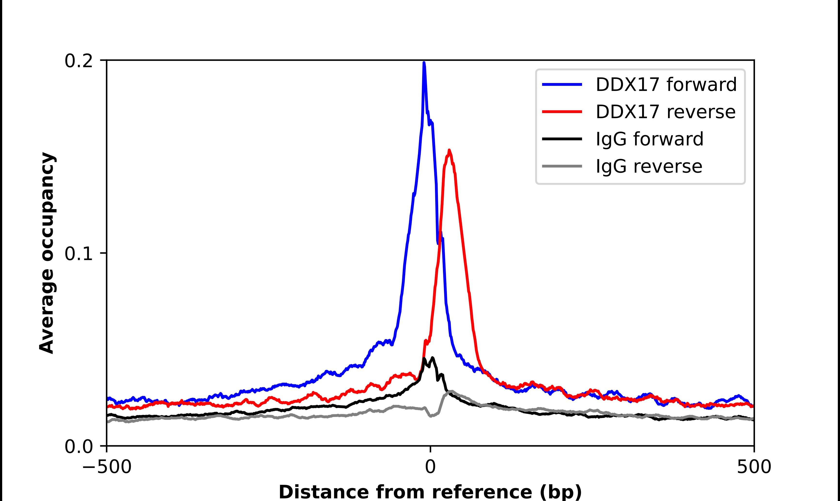 DDX17 Antibody - BSA Free Chromatin Immunoprecipitation-exo-Seq: DDX17 Antibody - BSA Free [NBP2-38985]