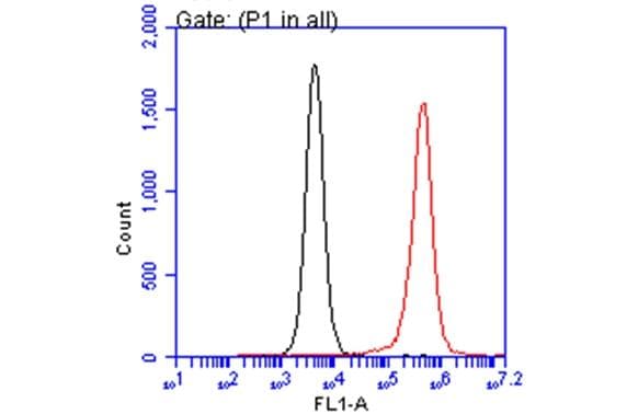 ARID5A Antibody (18112) - Azide and BSA Free