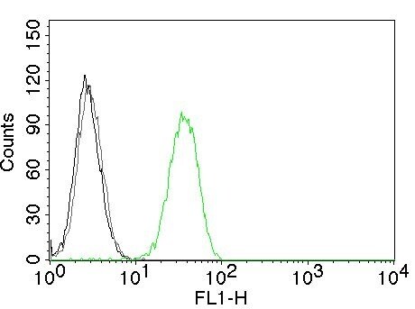 CD31/PECAM-1 Antibody (C31.7) - IHC-Prediluted Flow Cytometry: CD31/PECAM-1 Antibody (C31.7) - IHC-Prediluted [NBP2-44333] -