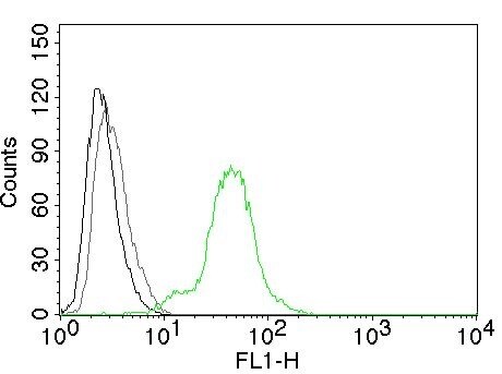 ER beta/NR3A2 Antibody (ERb455) - IHC-Prediluted Flow Cytometry: ER beta/NR3A2 Antibody (ERb455) - IHC-Prediluted [NBP2-44365] -