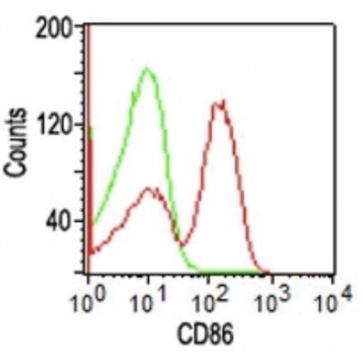 B7-2/CD86 Antibody (BU63) - IHC-Prediluted Flow Cytometry: B7-2/CD86 Antibody (BU63) - IHC-Prediluted [NBP2-44513] -