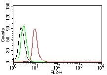 Cyclin D1 Antibody (SPM587) - IHC-Prediluted Flow Cytometry: Cyclin D1 Antibody (SPM587) - IHC-Prediluted [NBP2-44585] -