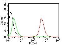 CD63 Antibody (NKI/C3) - IHC-Prediluted Flow Cytometry: CD63 Antibody (NKI/C3) - IHC-Prediluted [NBP2-44806] -