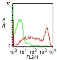 CD45RO Antibody (UCHL-1) - IHC-Prediluted Flow Cytometry: CD45RO Antibody (UCHL-1) - IHC-Prediluted [NBP2-44839] -