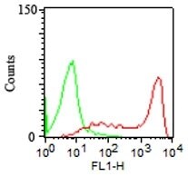 CD45RA Antibody (158-4D3) - IHC-Prediluted Flow Cytometry: CD45RA Antibody (158-4D3) - IHC-Prediluted [NBP2-44851] -