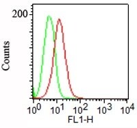 Podocalyxin Like Antibody (3D3) - IHC-Prediluted Flow Cytometry: Podocalyxin Like Antibody (3D3) - IHC-Prediluted [NBP2-45167] -