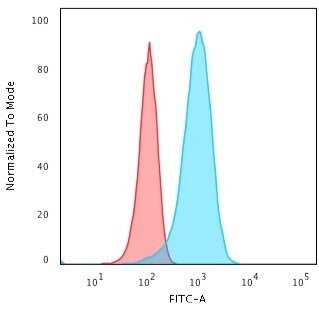 UCH-L1/PGP9.5 Antibody (31A3) - IHC-Prediluted Flow Cytometry: UCH-L1/PGP9.5 Antibody (31A3) - IHC-Prediluted [NBP2-45339] -
