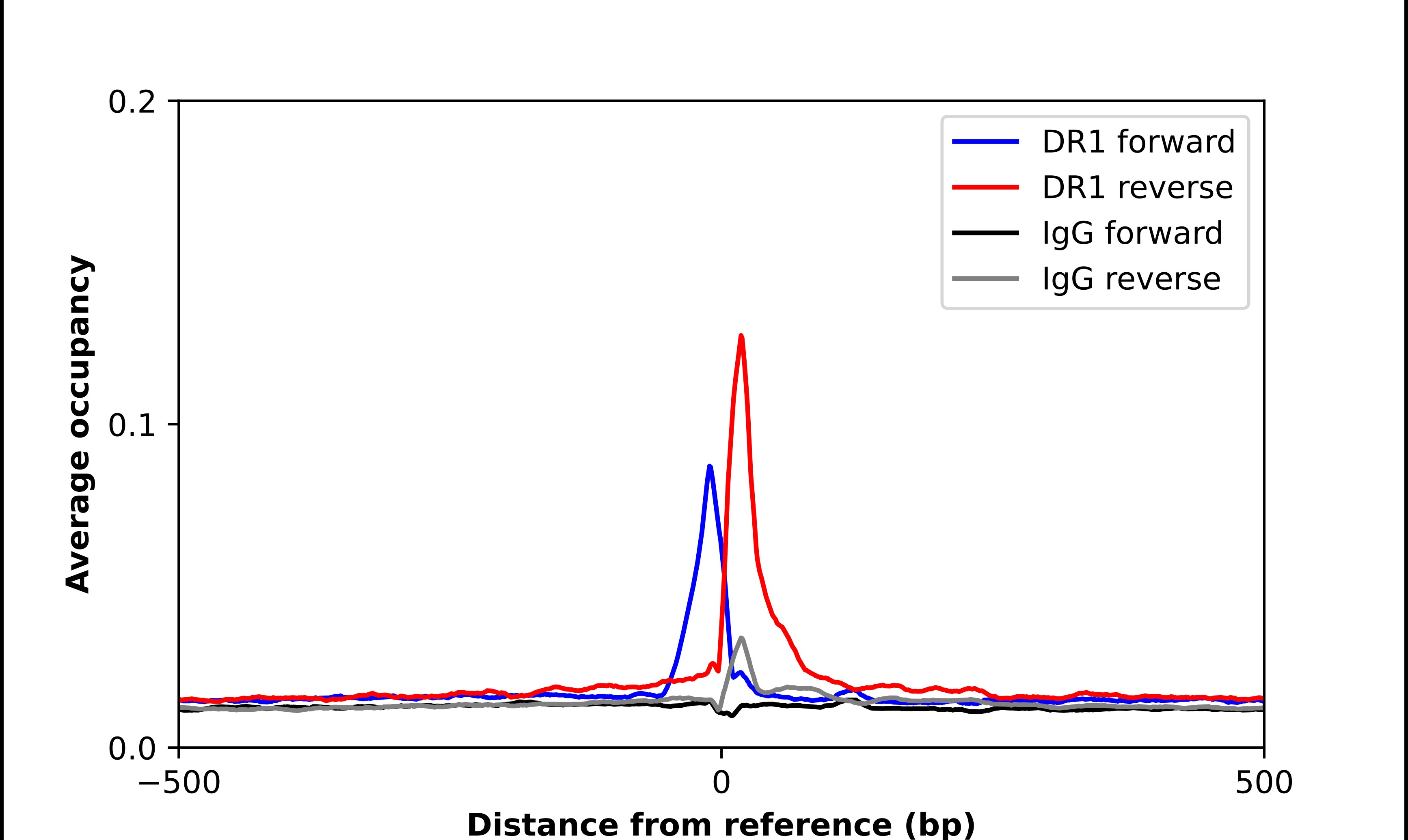 DR1 Antibody - BSA Free Chromatin Immunoprecipitation-exo-Seq: DR1 Antibody - BSA Free [NBP2-47480]