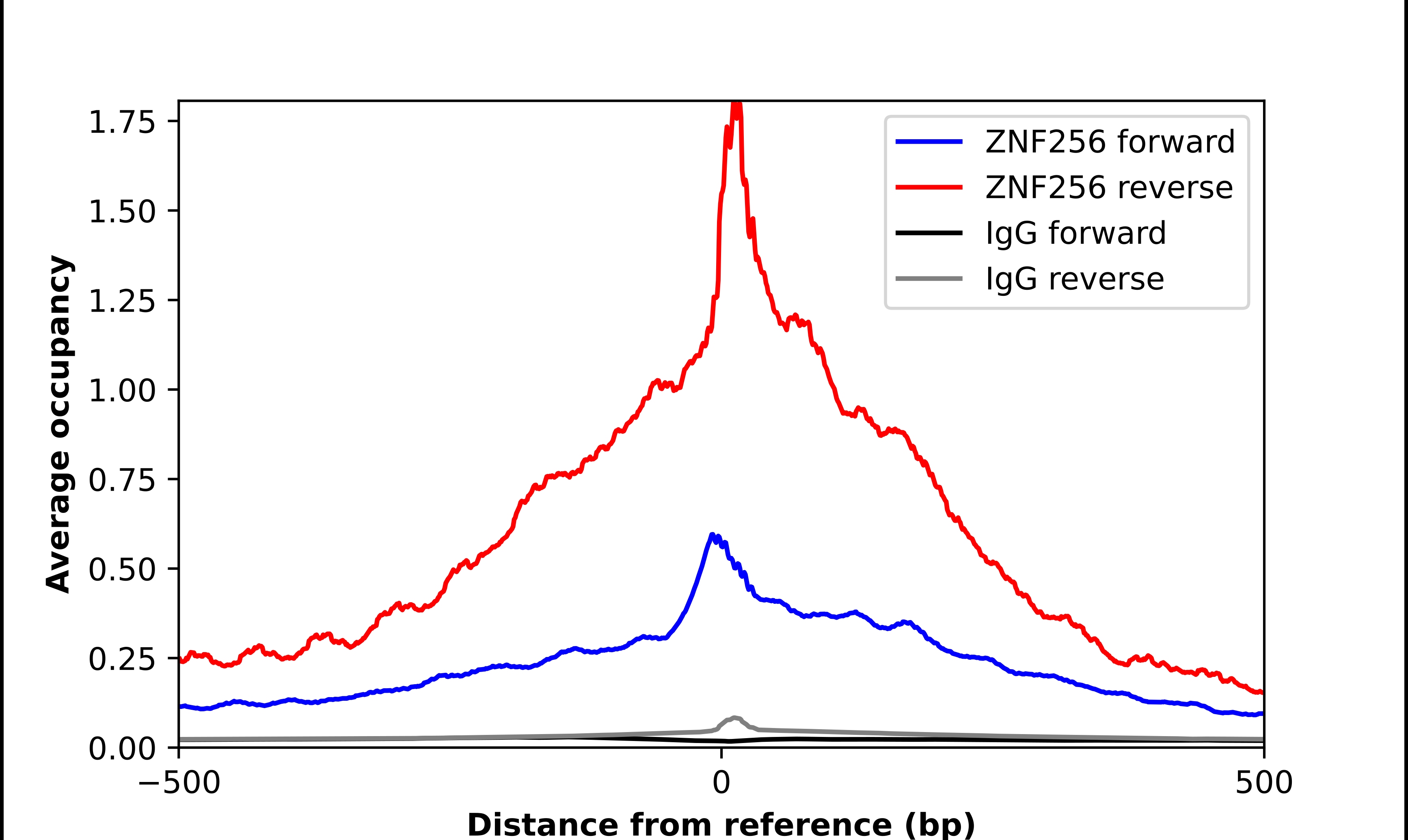 ZNF256 Antibody - BSA Free Chromatin Immunoprecipitation-exo-Seq: ZNF256 Antibody - BSA Free [NBP2-47569]