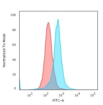 Calponin 1 Antibody (CALP) - IHC-Prediluted Flow Cytometry: Calponin 1 Antibody (CALP) - IHC-Prediluted [NBP2-48184] -