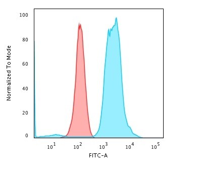 Fascin Antibody (FSCN1/416) - IHC-Prediluted Flow Cytometry: Fascin Antibody (FSCN1/416) - IHC-Prediluted [NBP2-48310] -