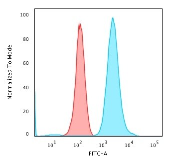 Fascin Antibody (FSCN1/417) - IHC-Prediluted Flow Cytometry: Fascin Antibody (FSCN1/417) - IHC-Prediluted [NBP2-48311] -