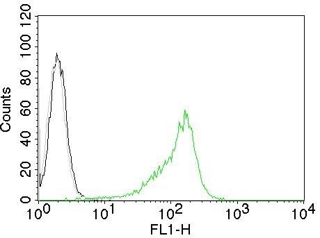 Nucleolin Antibody (NCL/902) - IHC-Prediluted Flow Cytometry: Nucleolin Antibody (NCL/902) - IHC-Prediluted [NBP2-48317] -