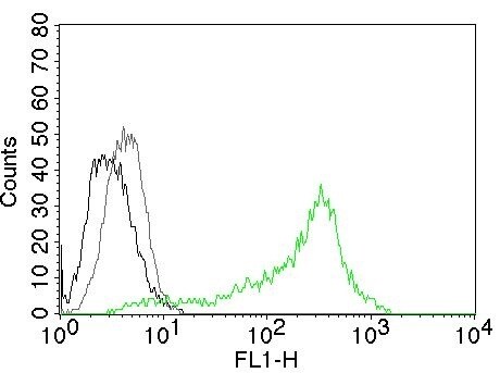 Nucleolin Antibody (364-5) - IHC-Prediluted Flow Cytometry: Nucleolin Antibody (364-5) - IHC-Prediluted [NBP2-48319] -