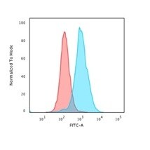 Nucleolin Antibody (364-5 + NCL/902) - IHC-Prediluted Flow Cytometry: Nucleolin Antibody (364-5 + NCL/902) - IHC-Prediluted [NBP2-48320] -