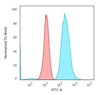 Fascin Antibody (FSCN1/418) - IHC-Prediluted Flow Cytometry: Fascin Antibody (FSCN1/418) - IHC-Prediluted [NBP2-48337] -