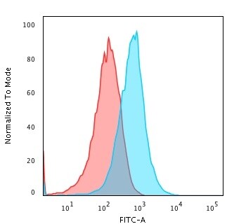 TNF-alpha Antibody (TNFA/1172) - IHC-Prediluted Flow Cytometry: TNF-alpha Antibody (TNFA/1172) - IHC-Prediluted [NBP2-48470] -