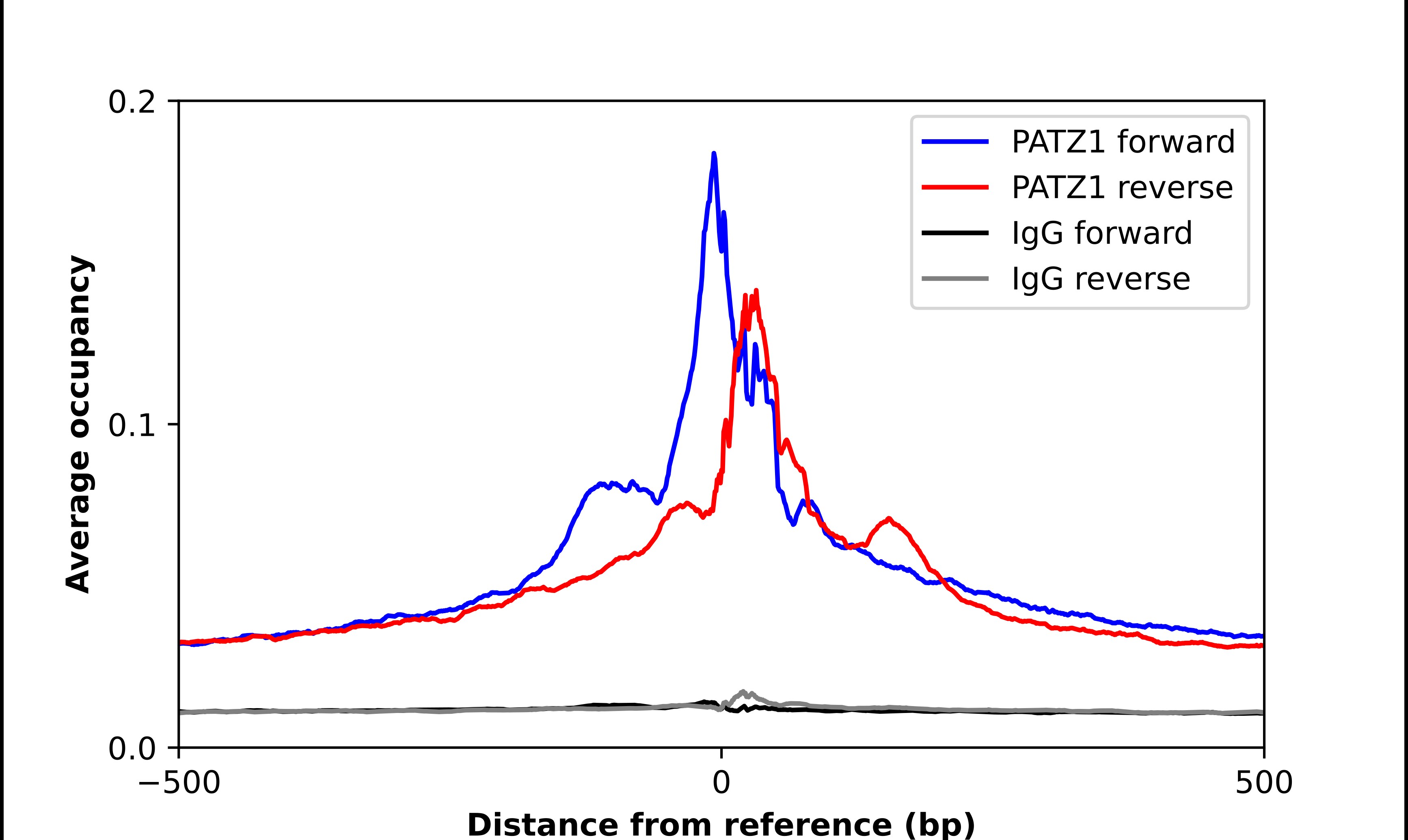 PATZ Antibody - BSA Free Chromatin Immunoprecipitation-exo-Seq: PATZ Antibody - BSA Free [NBP2-48884]