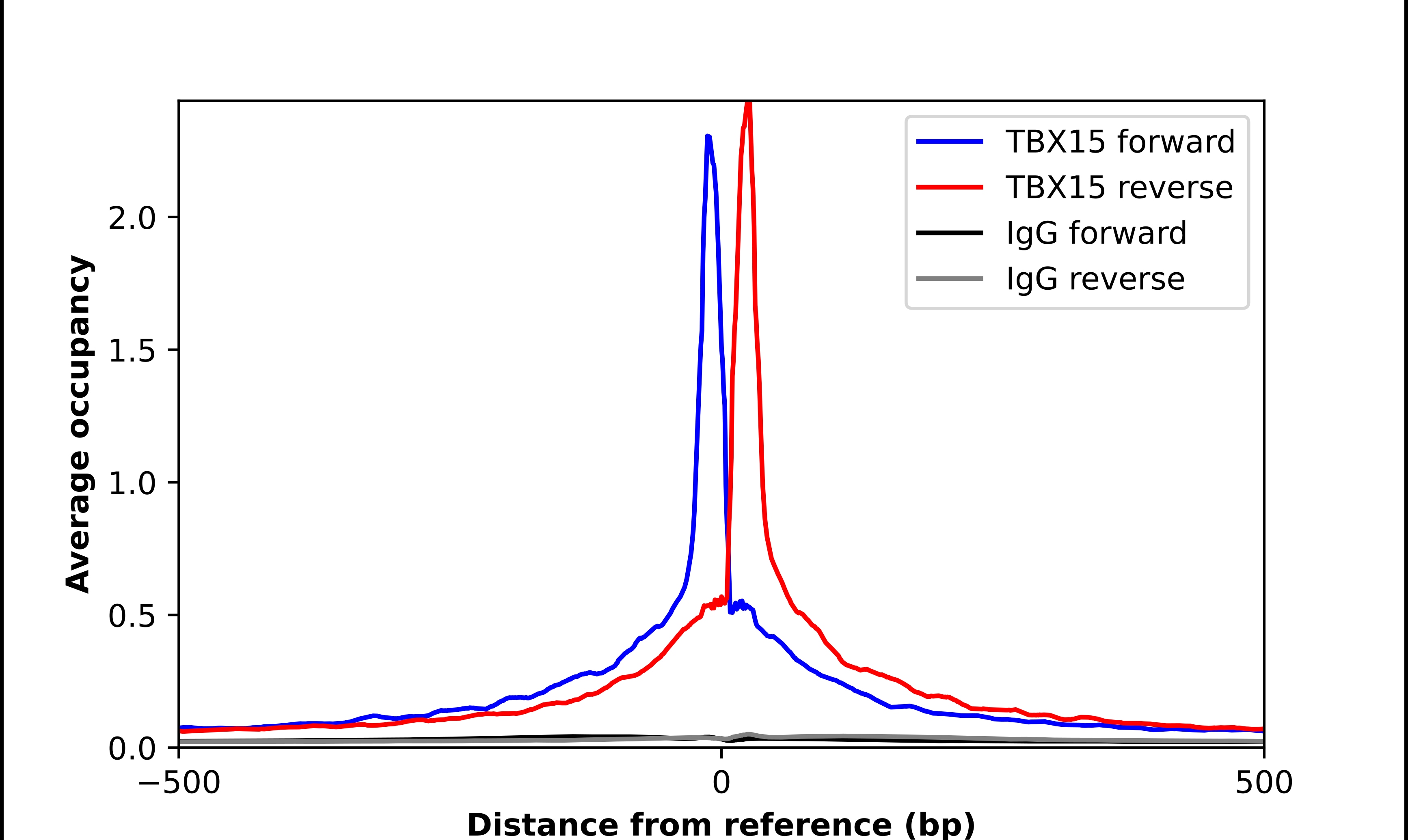 TBX15 Antibody - BSA Free Chromatin Immunoprecipitation-exo-Seq: TBX15 Antibody - BSA Free [NBP2-49036]