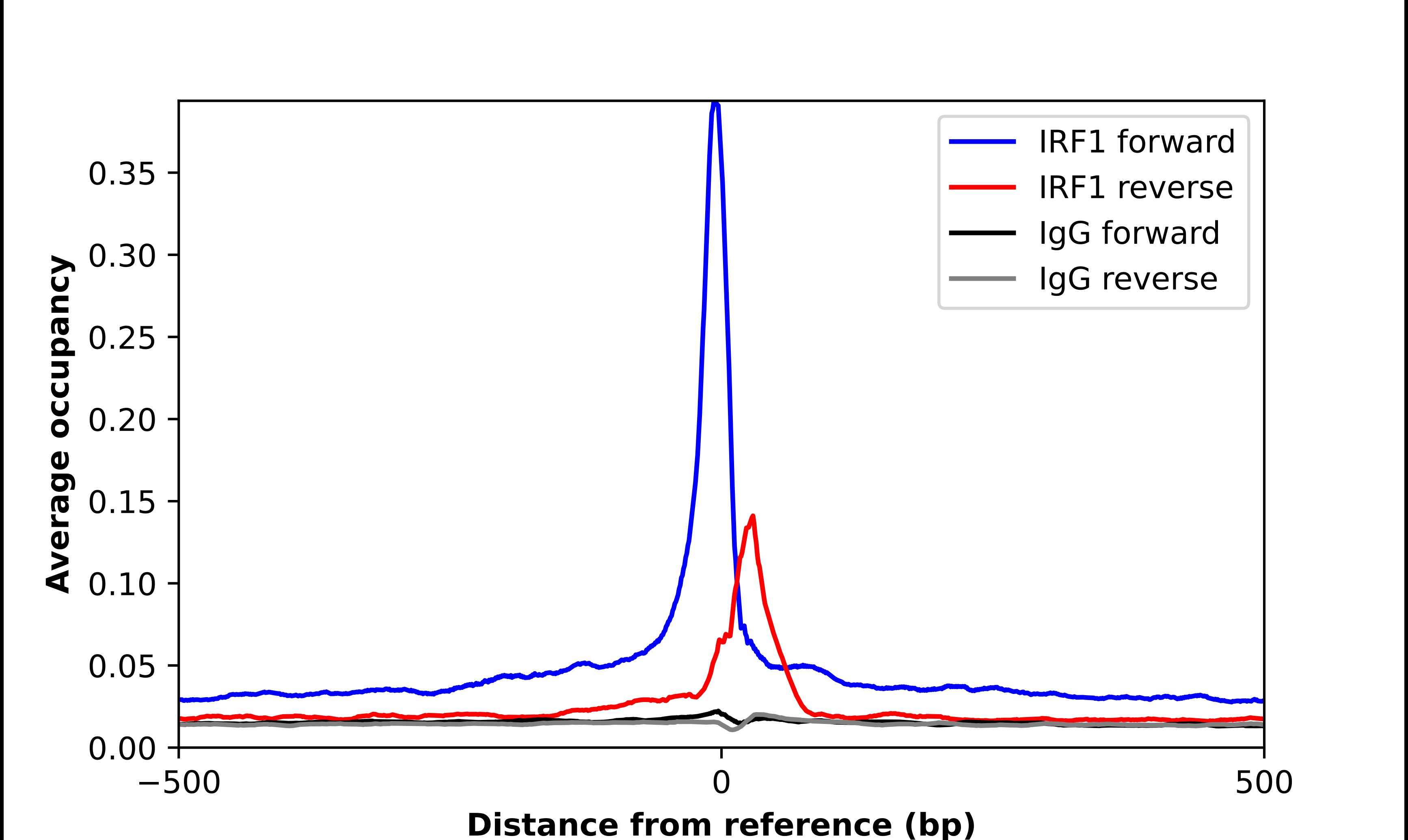 IRF1 Antibody - BSA Free Chromatin Immunoprecipitation ChIP: IRF1 Antibody - BSA Free