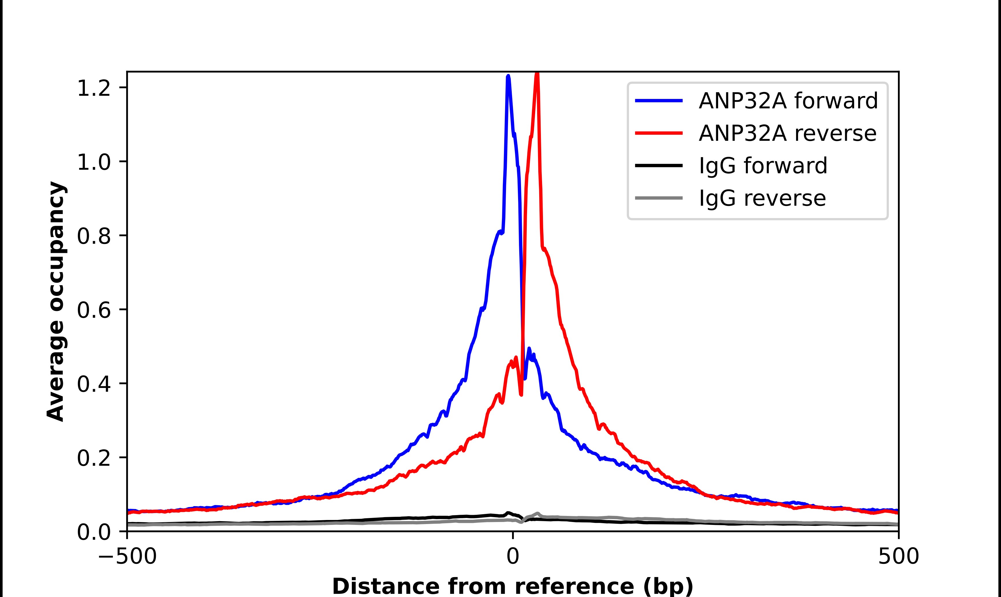 ANP32A Antibody - BSA Free Chromatin Immunoprecipitation-exo-Seq: ANP32A Antibody - BSA Free [NBP2-49519]