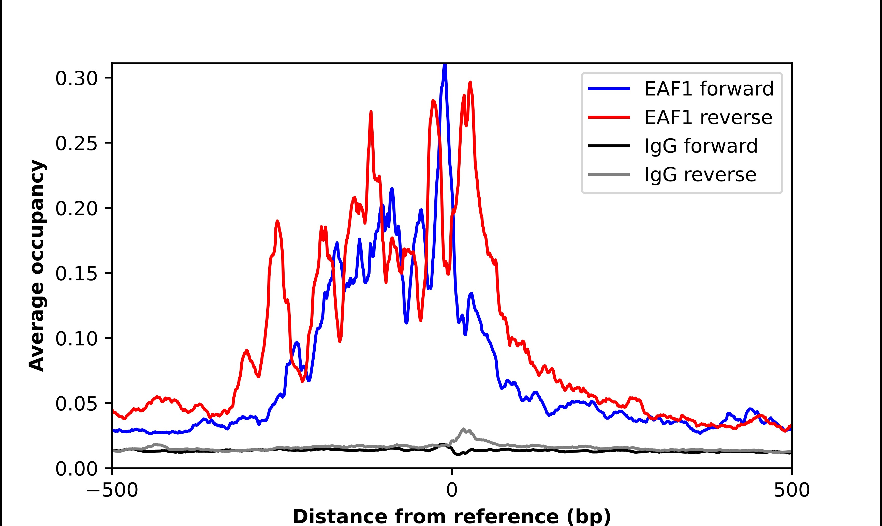 EAF1 Antibody - BSA Free Chromatin Immunoprecipitation ChIP: EAF1 Antibody - BSA Free