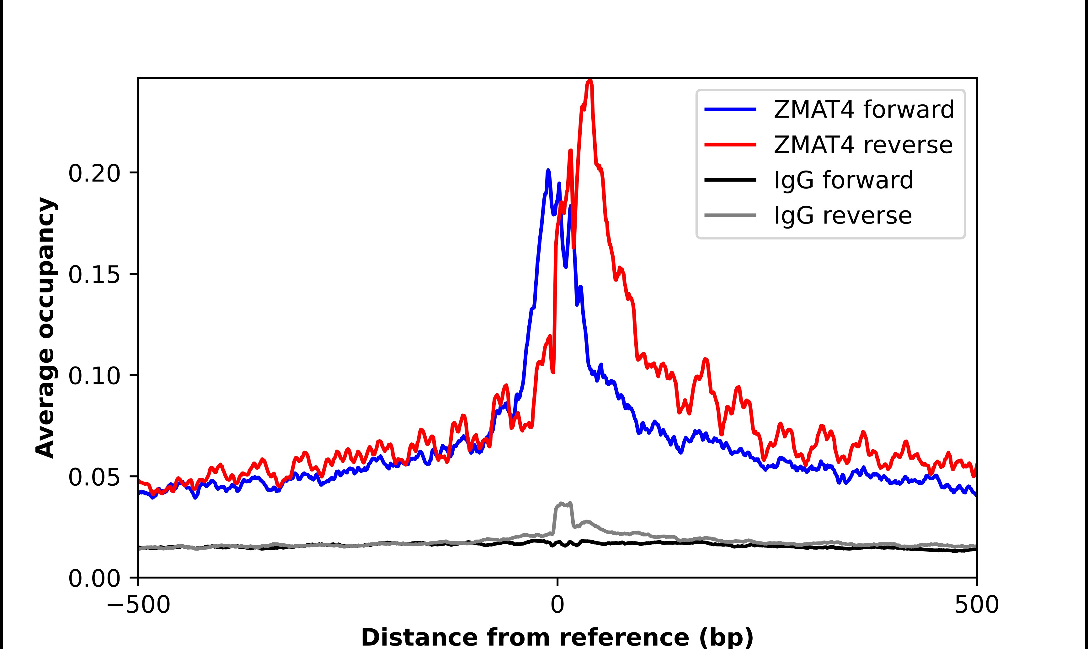 ZMAT4 Antibody - BSA Free Chromatin Immunoprecipitation-exo-Seq: ZMAT4 Antibody - BSA Free [NBP2-49619]