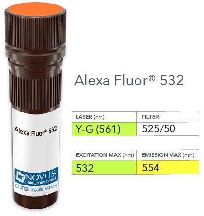 Neprilysin/CD10 Antibody (SS2/36) [Alexa Fluor® 532]