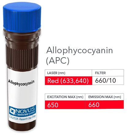 Neprilysin/CD10 Antibody (SS2/36) [Allophycocyanin]