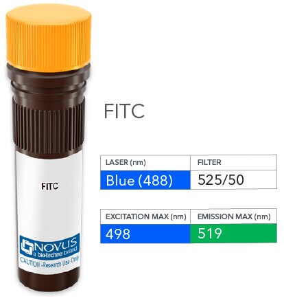Neprilysin/CD10 Antibody (SS2/36) [FITC]