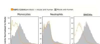 CD16/CD32 Antibody (2.4G2) - Chimeric - Azide and BSA Free