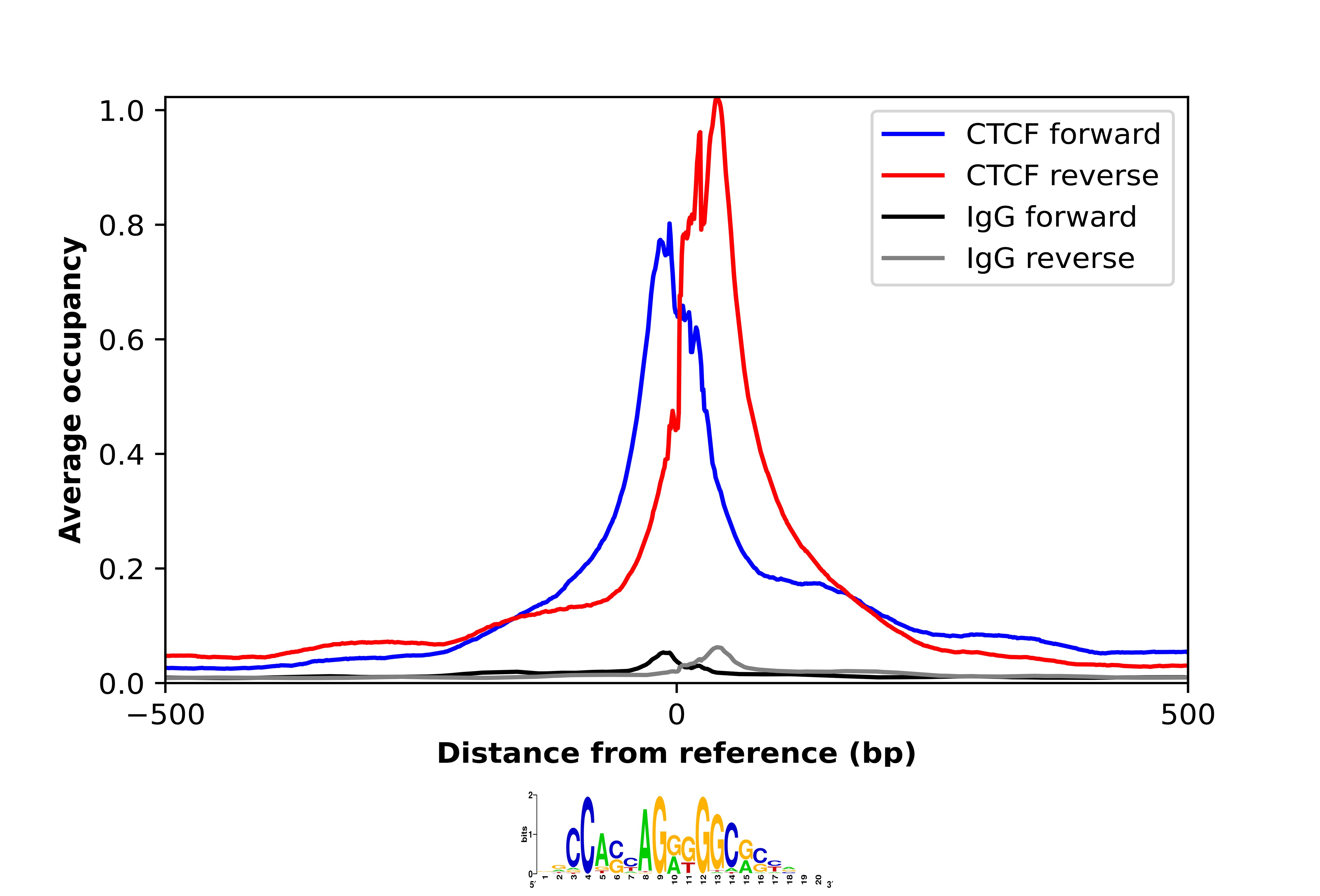 CTCF Antibody (CL0304) - BSA Free Chromatin Immunoprecipitation-exo-Seq: CTCF Antibody (CL0304) - BSA Free [NBP2-52909]