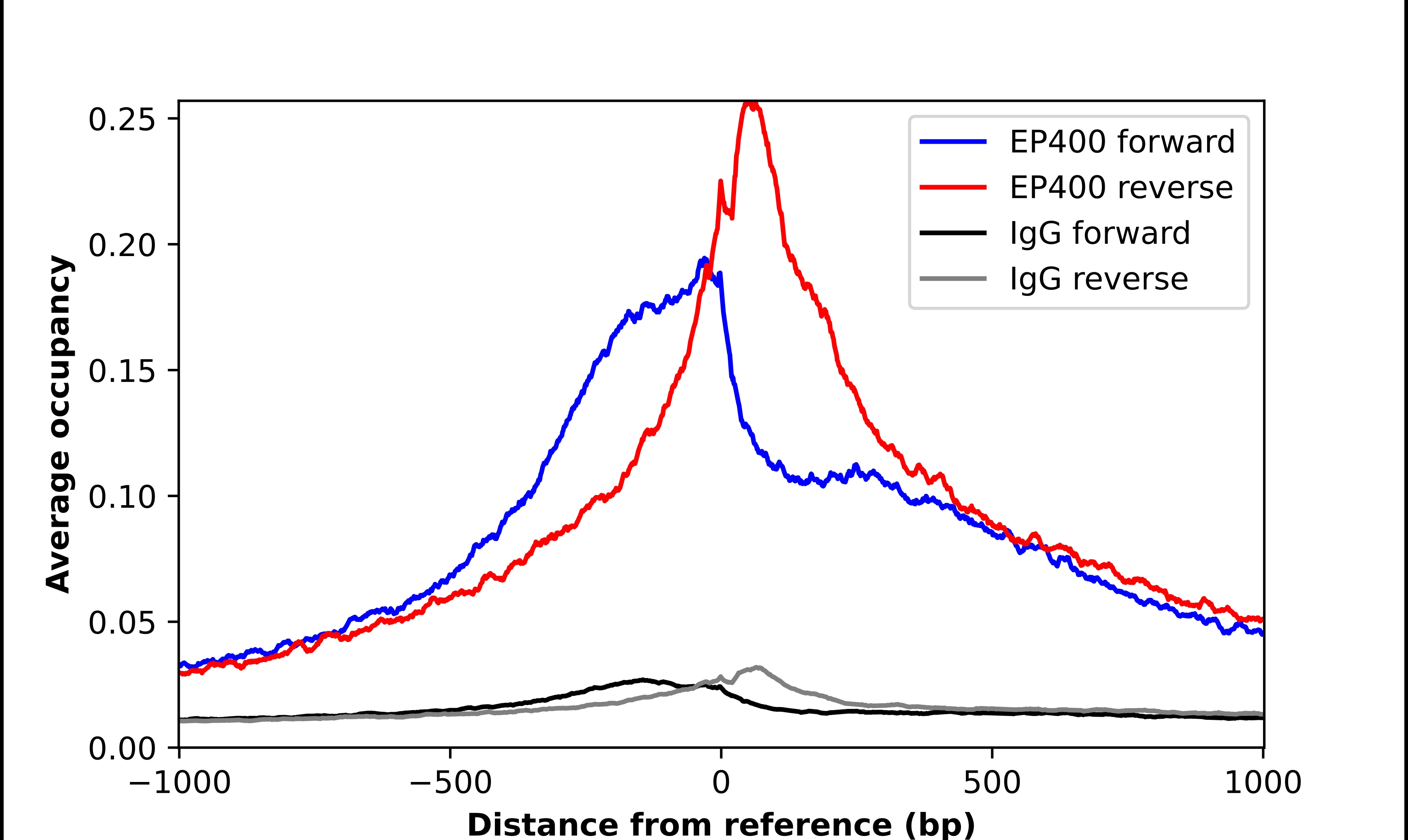 p400 Antibody - BSA Free Chromatin Immunoprecipitation-exo-Seq: p400 Antibody - BSA Free [NBP2-55019]
