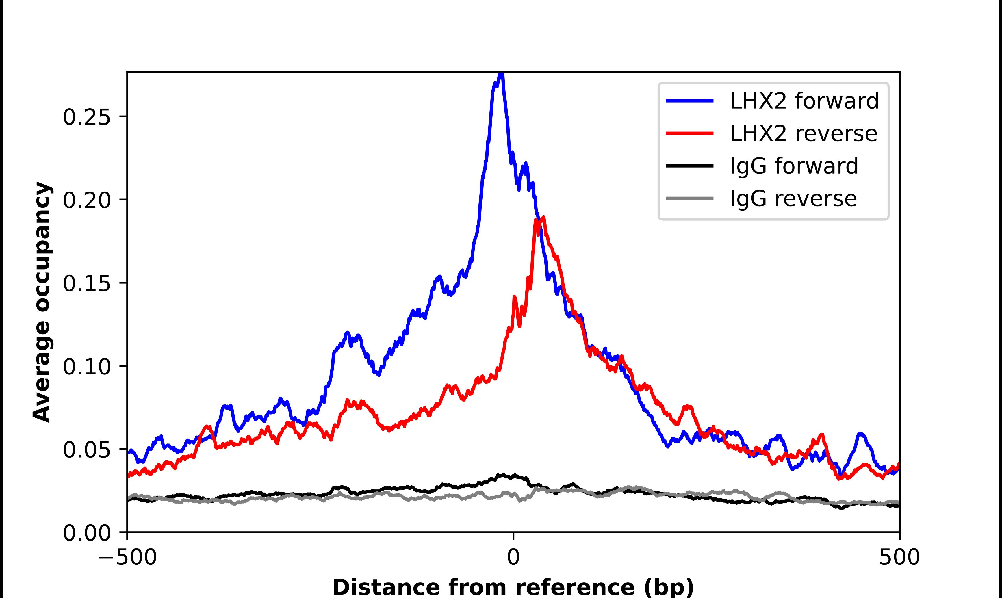 LHX2 Antibody - BSA Free Chromatin Immunoprecipitation-exo-Seq: LHX2 Antibody - BSA Free [NBP2-55153]