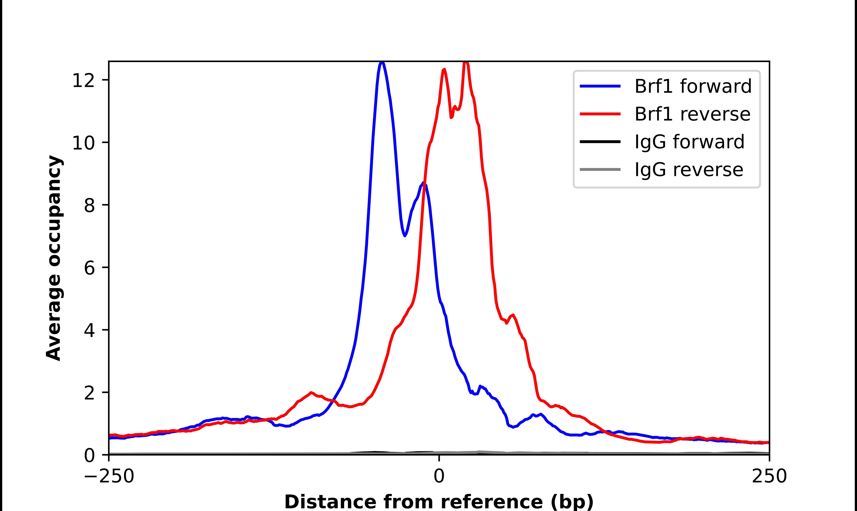 BRF1 Antibody - BSA Free Chromatin Immunoprecipitation-exo-Seq: BRF1 Antibody - BSA Free [NBP2-55335]